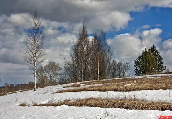 Косогоры весной