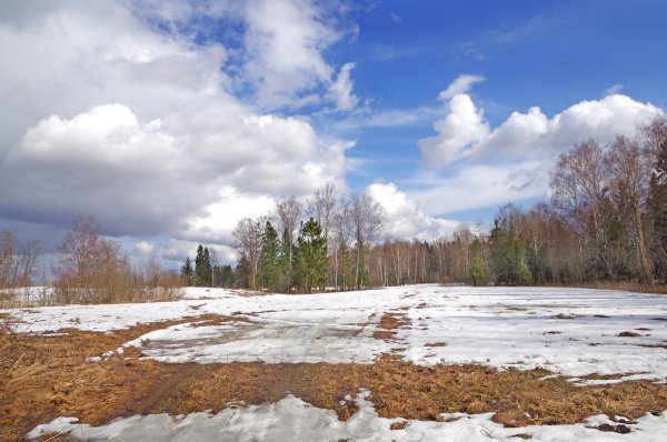 Островки снега весной