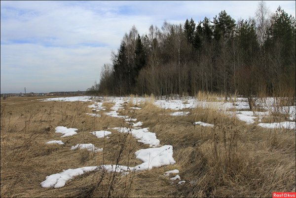 Белеет снег