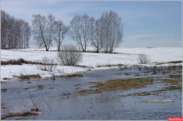 Весенние воды ещё в полях Белеет снег