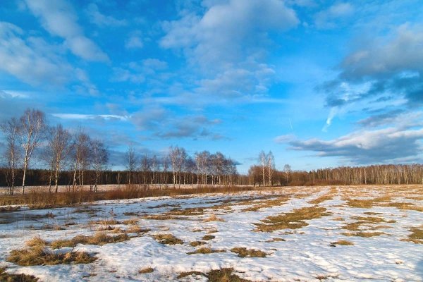 Ранняя Весна в поле
