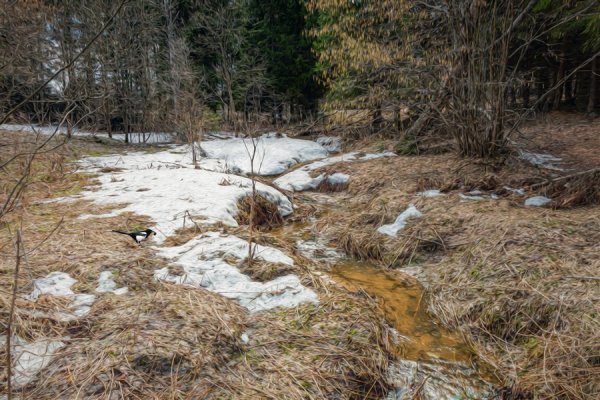 Ещё в полях Белеет