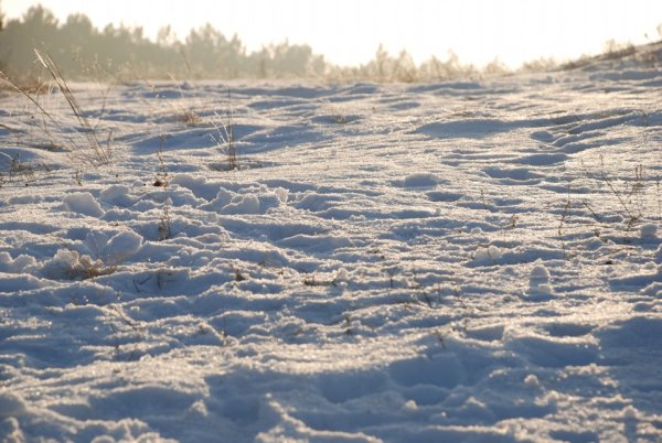 Поле припорошенное снегом