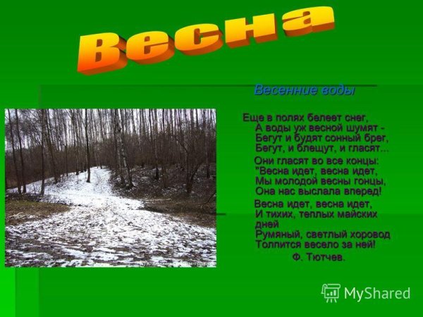 Ещё в полях Белеет снег а воды уж весной шумят Автор