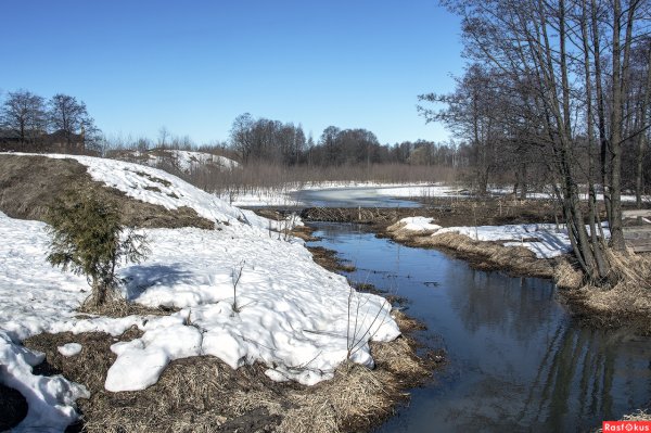 Река весной