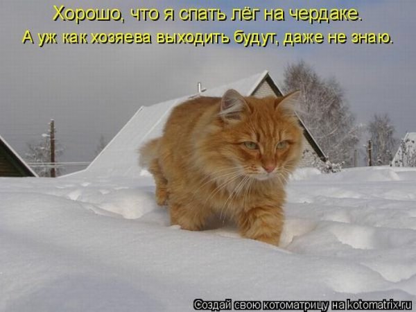 Снегу навалило прикольные