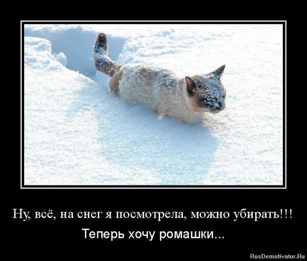 Демотиваторы смешные