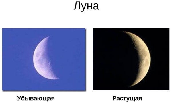 Расьцщая и Цбывающая лцна