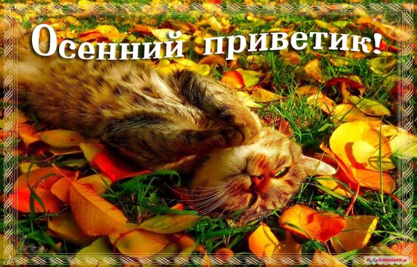 Открытки осенний приветик