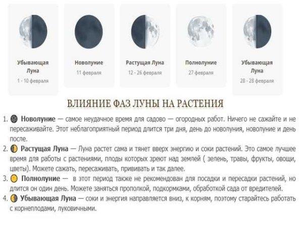 Фаза растущей Луны