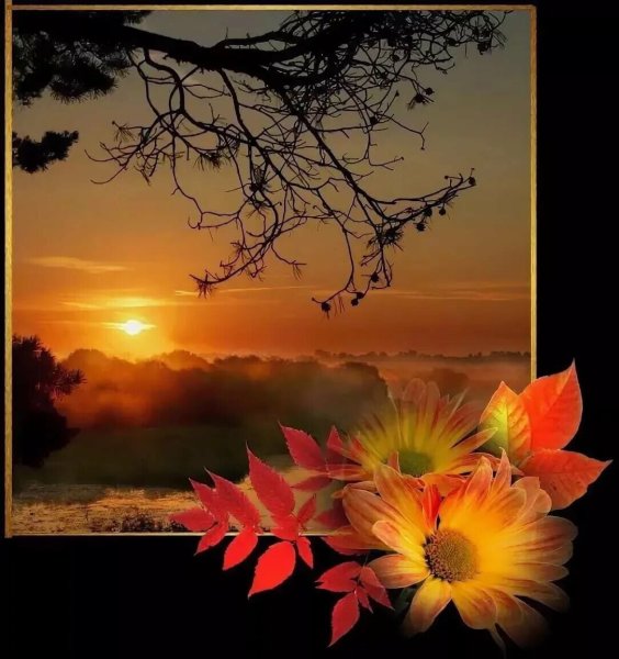 Осенний вечер