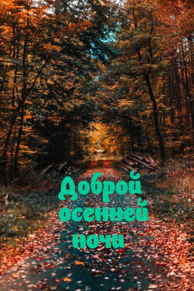 Спокойной ночи осень