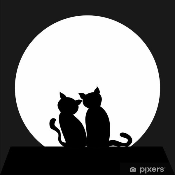 Силуэты котов на крыше