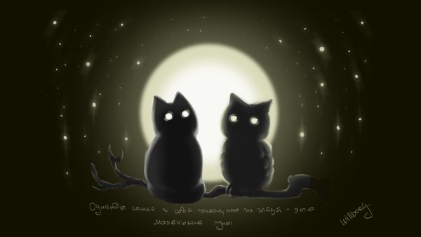 Черный кот и Сова