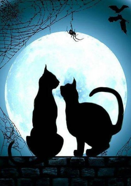 Силуэт двух кошек