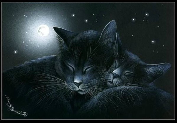 Чёрные коты Ирины Гармашовой