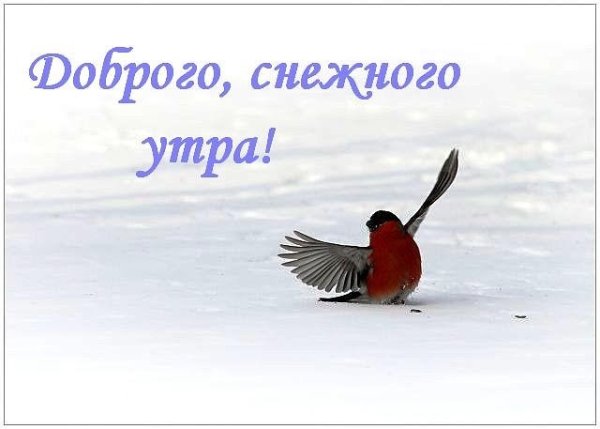С добрым утром снежным утром