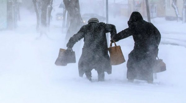 Метель прикол