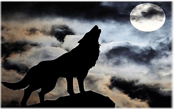 Собака лает на луну