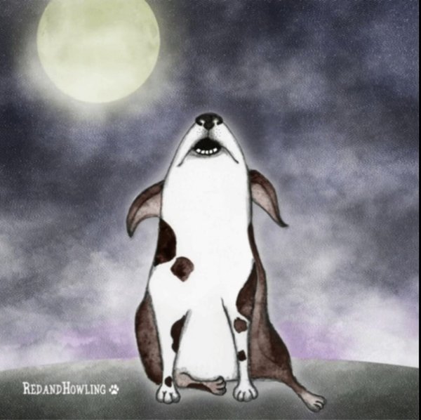 Собака лает на луну