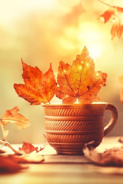 Осенние листья в кружке