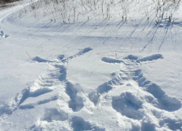 Следы на снегу