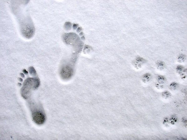 Следы босых ног на снегу