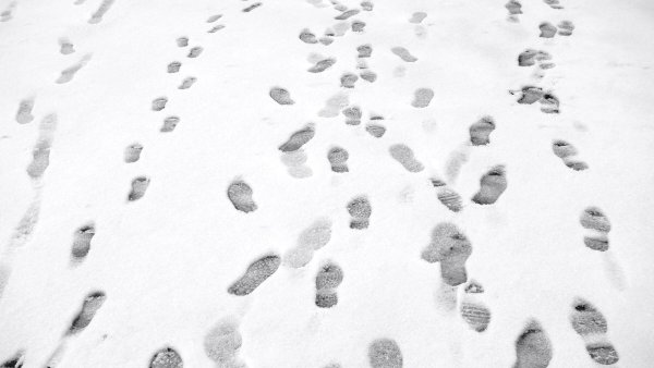 Следы на снегу