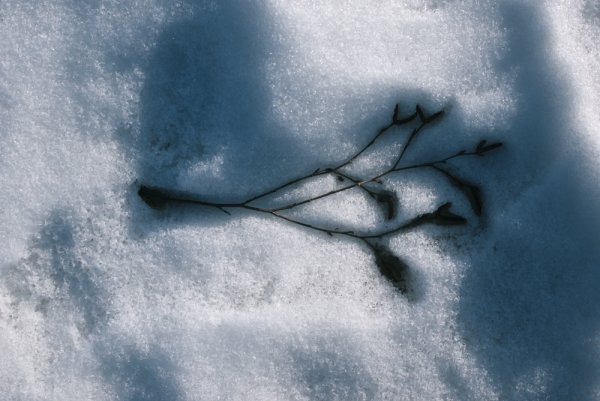 Следы на снегу в городе