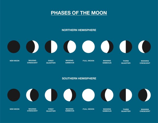 Moon Cycle