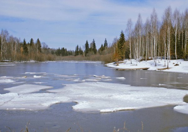 Колва приток Вишеры ледоход