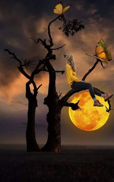 Лунные деревья