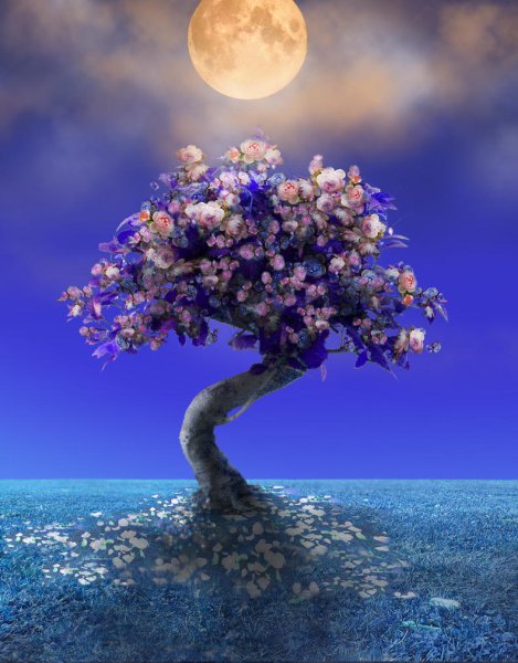 Лунные деревья