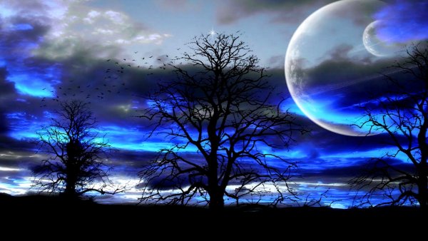 Индиго в природе