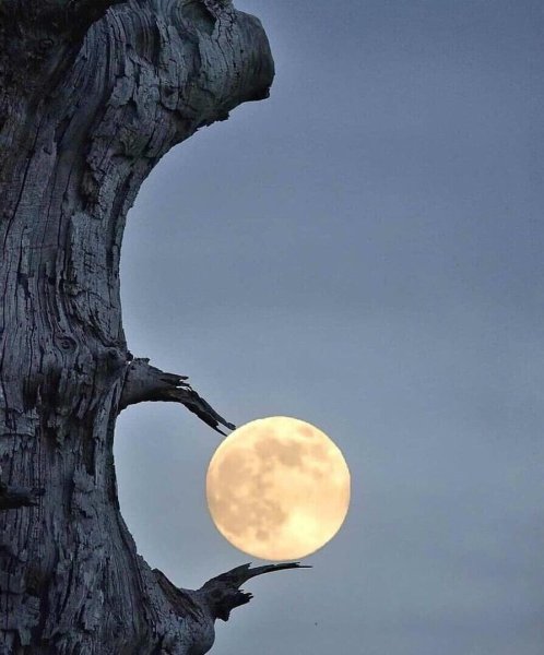 Полнолуние необычная