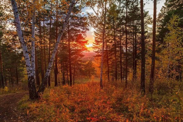 Осенний вечер