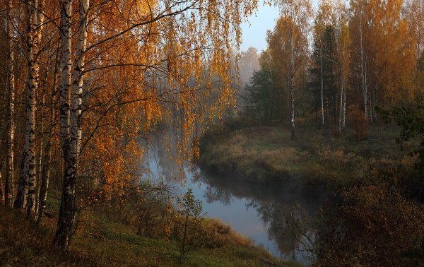Небо осенью дышало