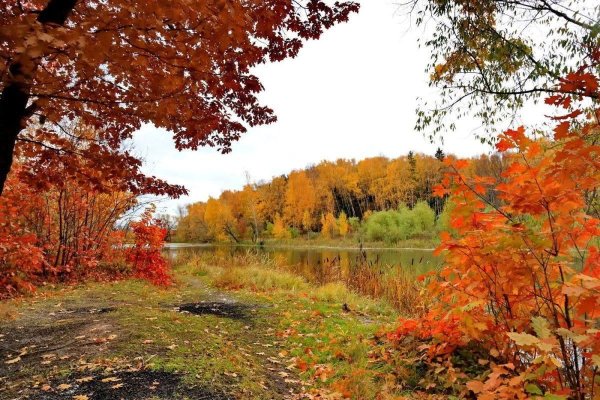 Лес осенний- Терем расписной
