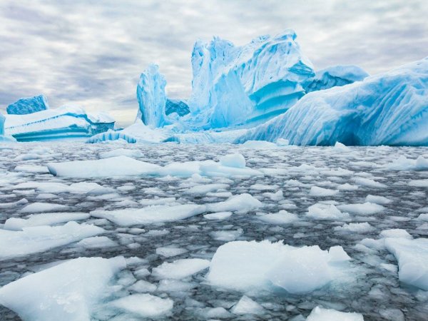 Ледник Денмена