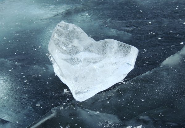 Сердце из льда