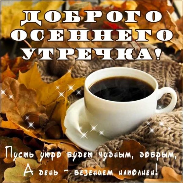 С добрым осенним утром четверга