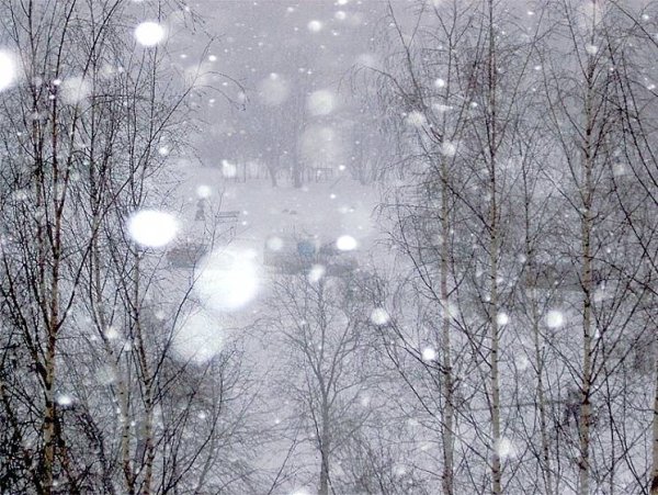 Снежная буря весной