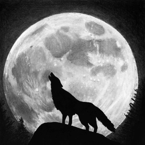 Волк и Луна