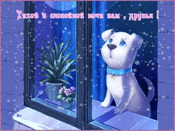 Доброго зимнего вечера и спокойной ночи