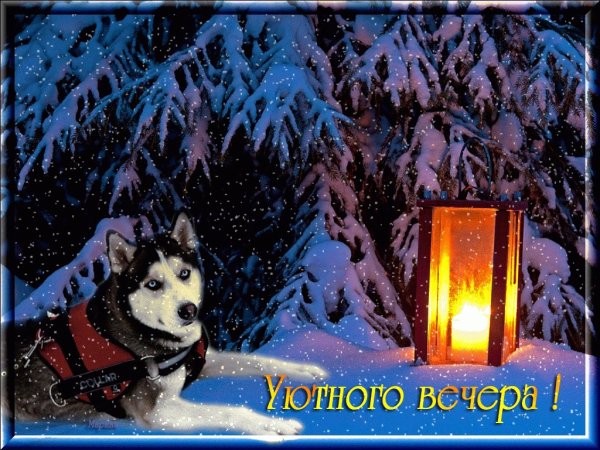 Приятного зимнего вечера