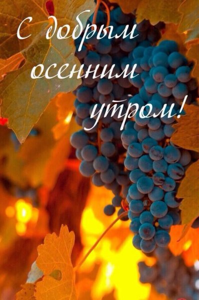 С добрым осенним утром
