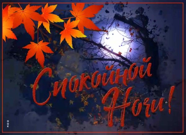 Спокойнойночки осенью