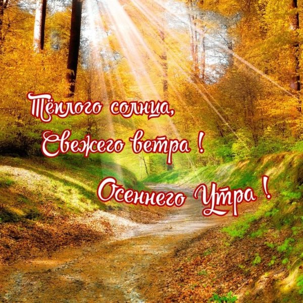 Доброе утро Золотая осен