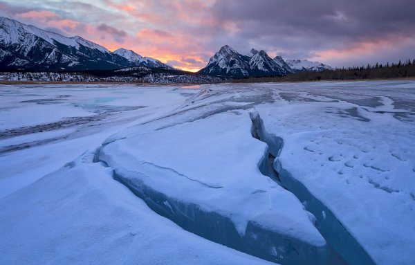 Винтер Сноу
