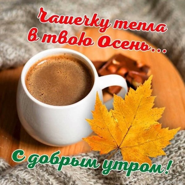 Доброго осеннего утра и хорошего дня